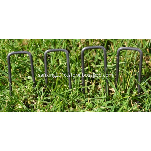 Anti-rust Galvanized U Type Nail